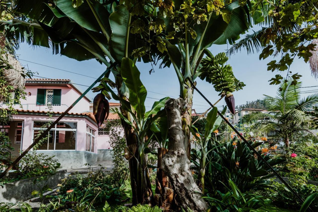 City View Gardens I Funchal  Esterno foto