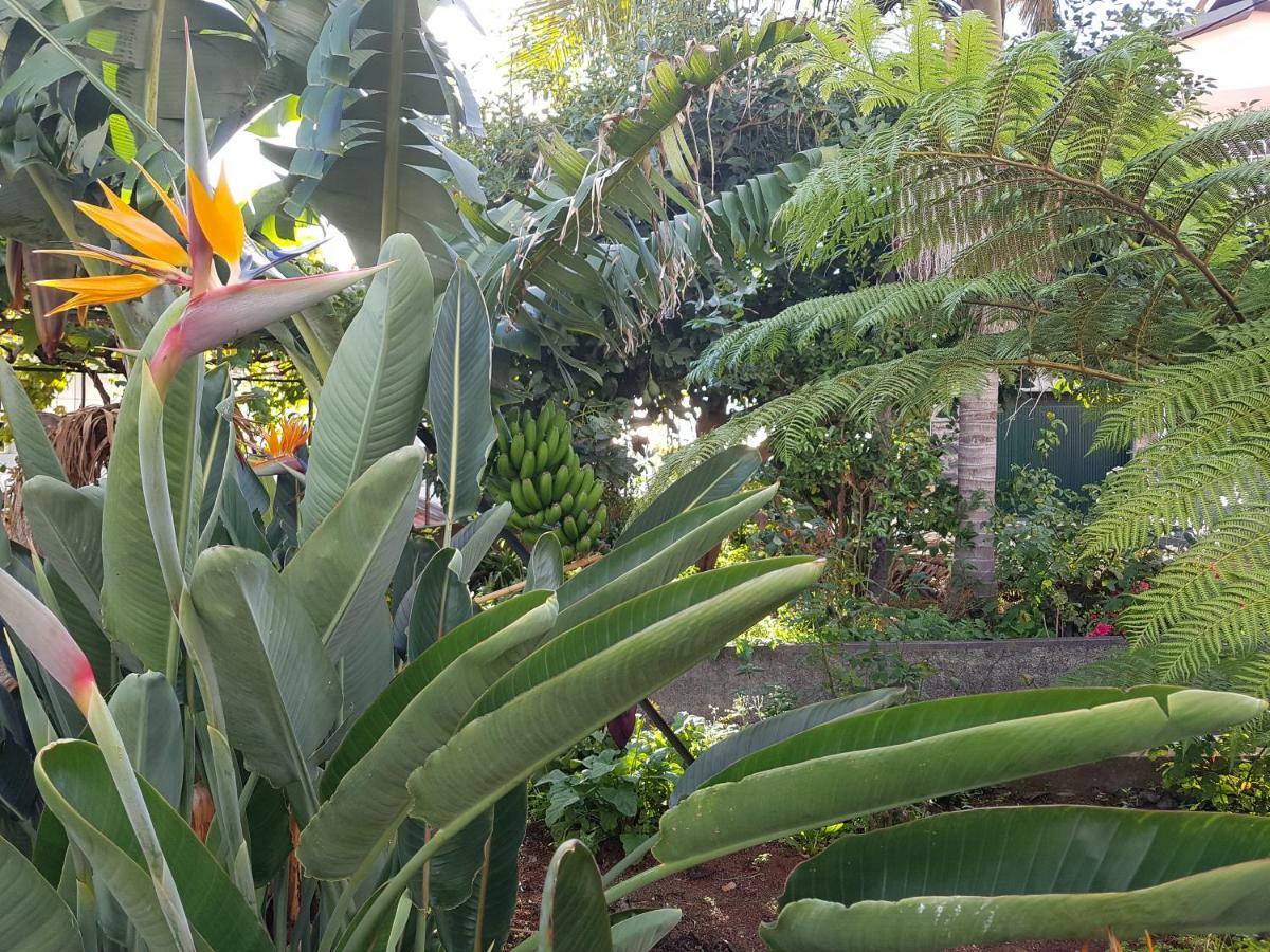 City View Gardens I Funchal  Esterno foto